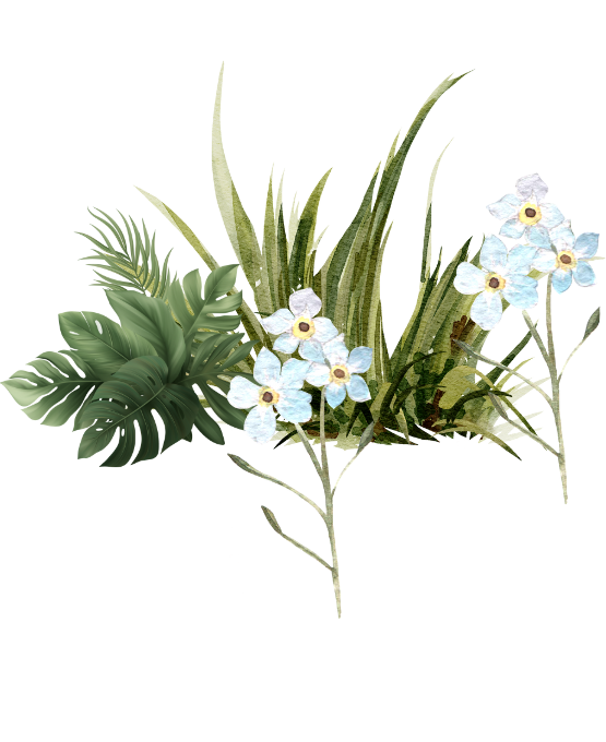 Web Invitation By Idzi